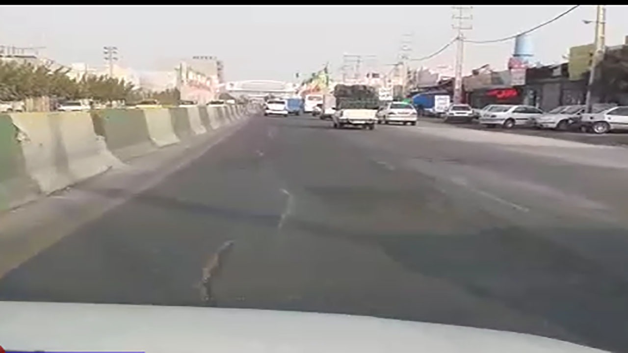 وضع نامناسب جاده در شهریار + فیلم