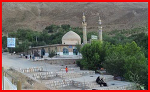 قصه صیادان بوشهری/ تکدی&zwnj;گری، معضلی در زیر پوست شهر/ ۴۰ درصد جمعیت، ناقلان کرونایی بدون علامت/ طبیعت و جنگل بی&zwnj;بدیل وفس