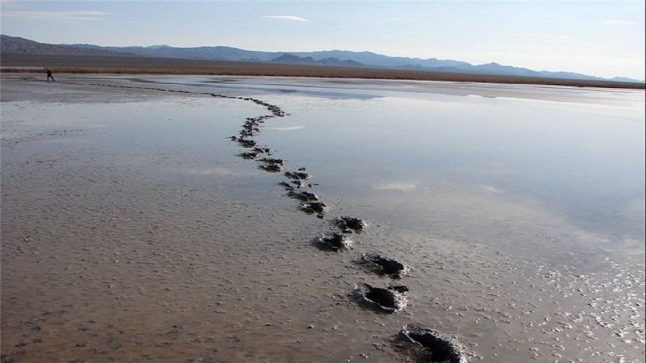 روی خوش تالاب کجی به پرندگان مهاجر