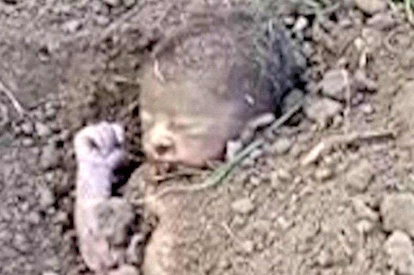 نجات نوزاد دفن شده در مزرعه در حال شخم+تصاویر
