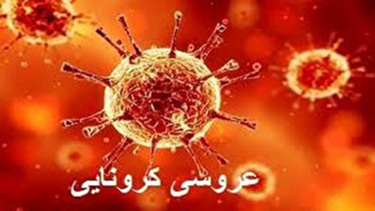 پایان عروسی کرونایی با بازداشت پدر داماد و ارکستر