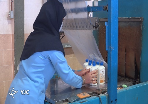 رها در بیابان در کنار نوای گرم ساربان/ شیر خشک شتر ظرفیتی مغفول مانده در بیابان