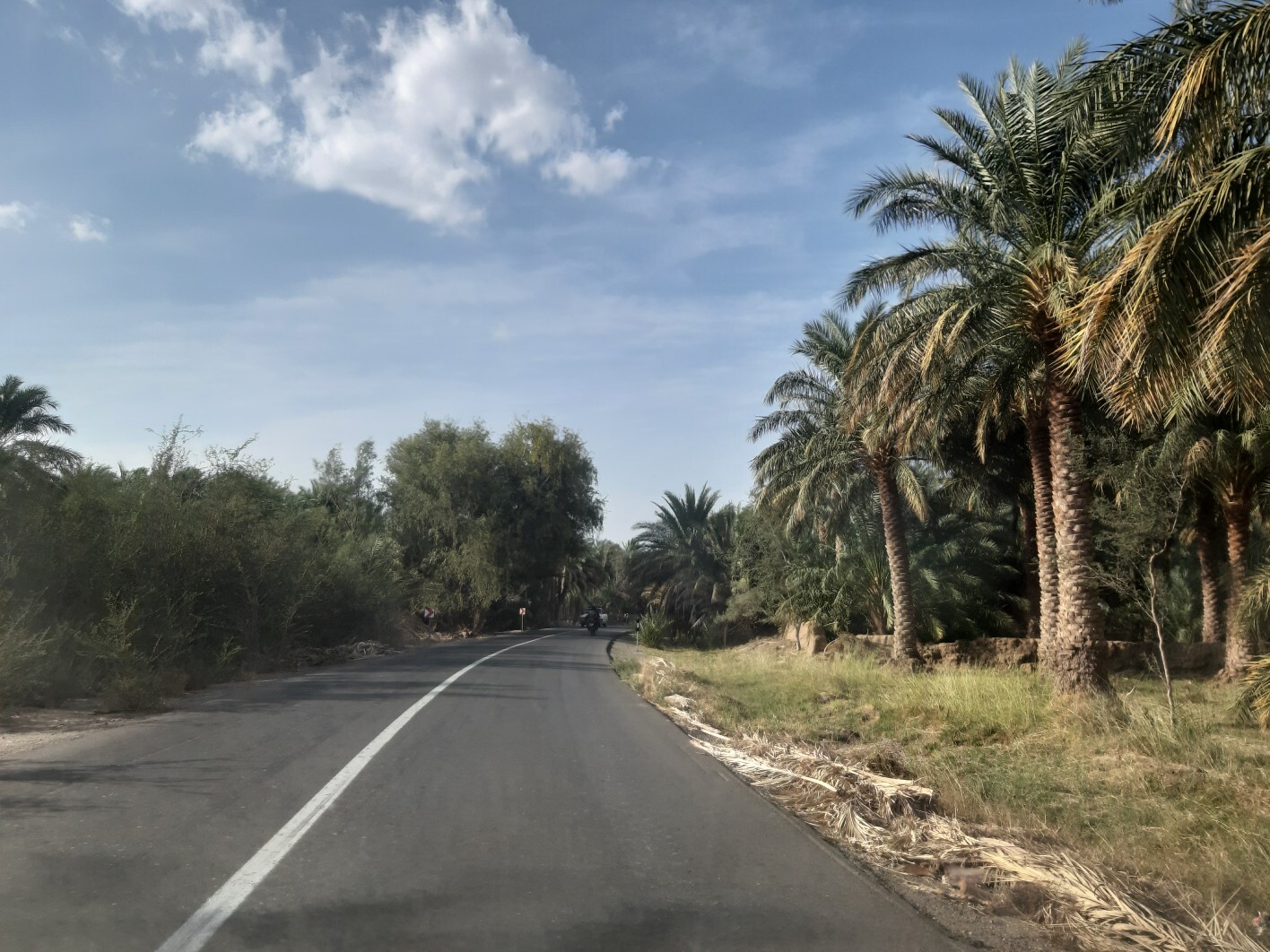 جاده های ریگان