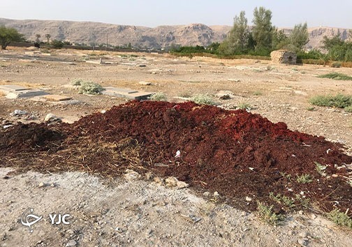 زباله در صحرای تاریخی پوشنج داراب 