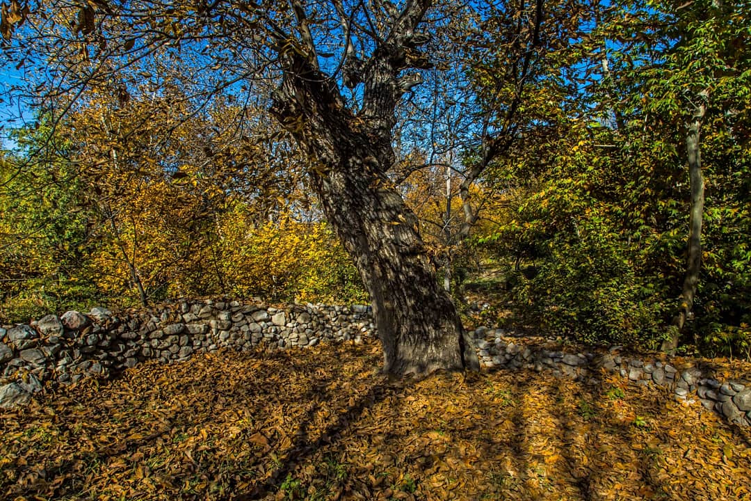 نظاره زیبایی&zwnj;های پاییز کلات از قاب تصویر