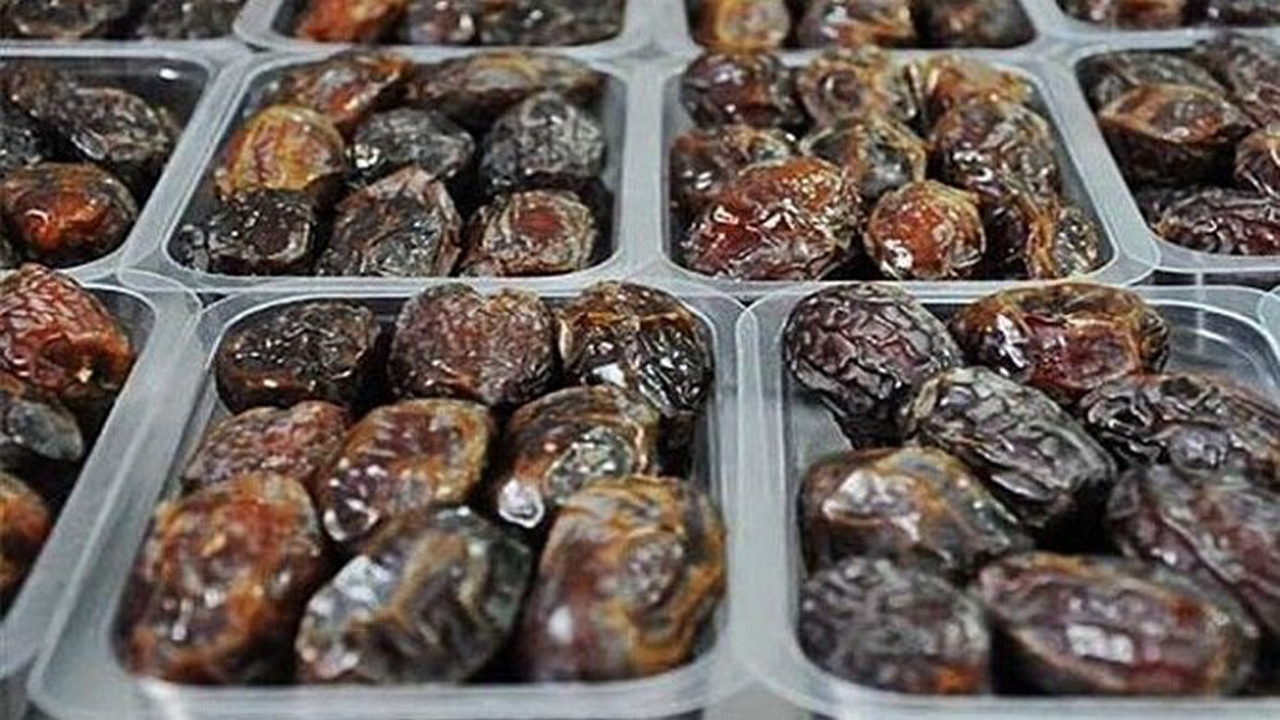 رطب شیرین و کام تلخ نخل‌دار/ پای اقتصاد مقاومتی در نخلستان‌های استان بوشهر لنگ می‌زند