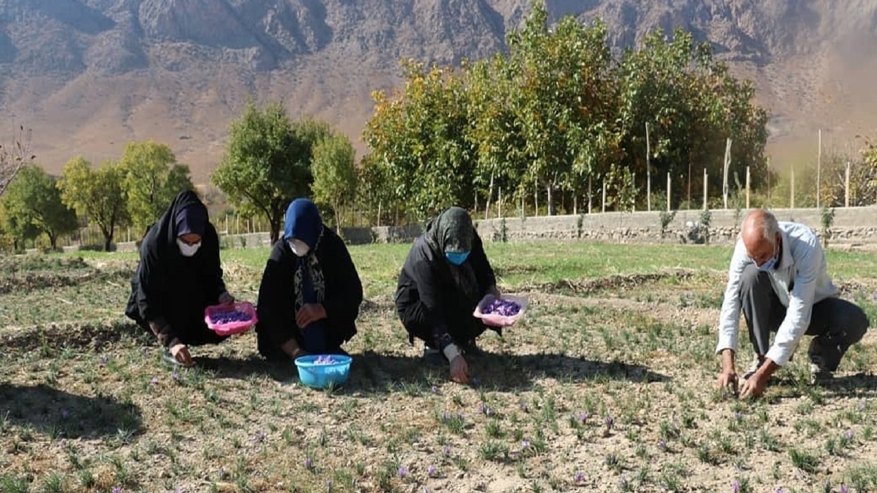 ارتقاء سطح معیشتی روستائیان با اجرای طرح ترسیب کربن