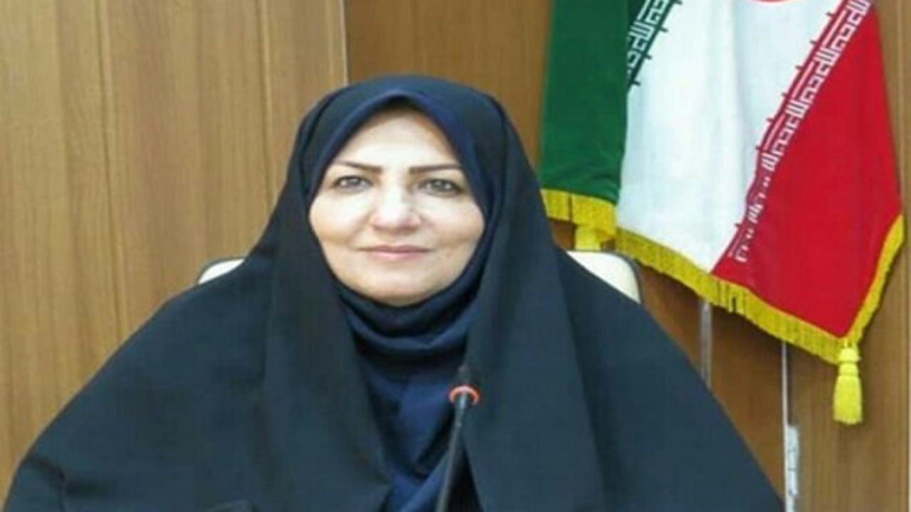 طرح سفیران سلامت در فارس اجرا می‌شود
