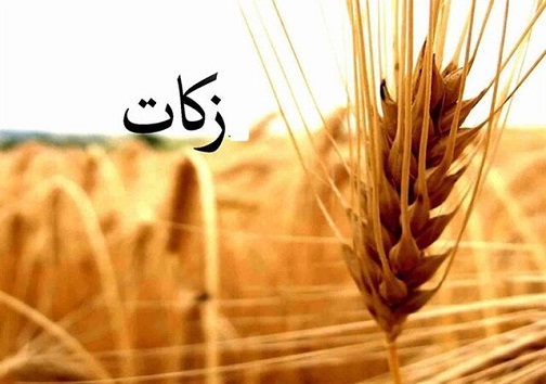 جمع آوری ۱۳ میلیارد تومان زکات در کهگیلویه و بویراحمد