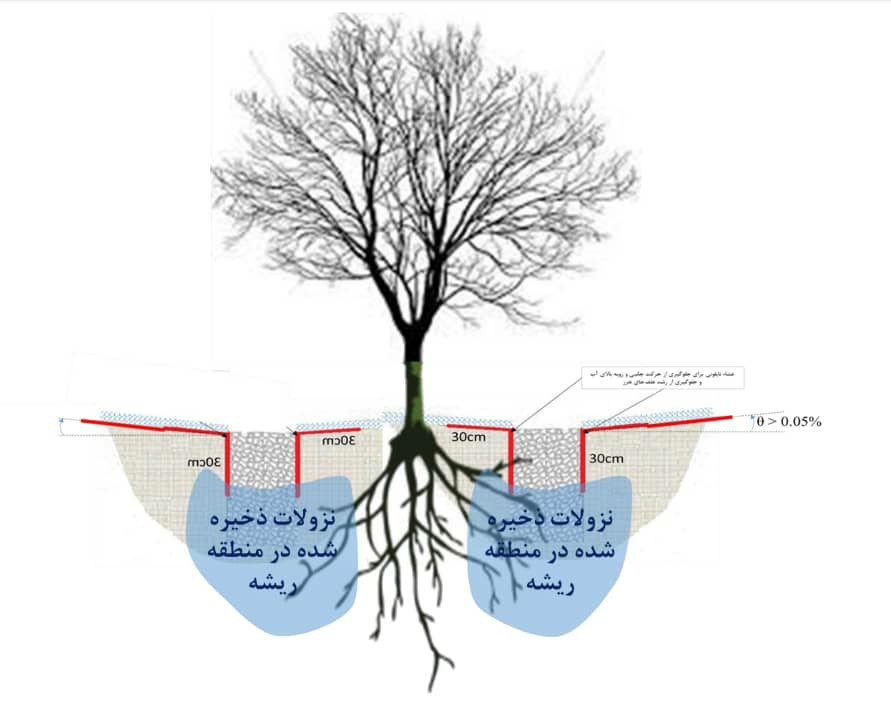 طرحی تحقیقاتی که می تواند تولید پسته را متحول کند 