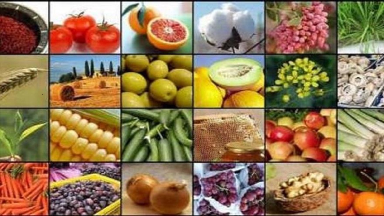 راه اندازی دو سردخانه محصولات کشاورزی در شهرستان روانسر