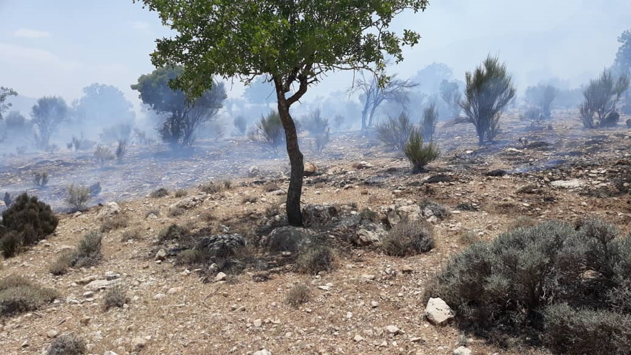 مهار آتش سوزی در احمد آباد بید زرد