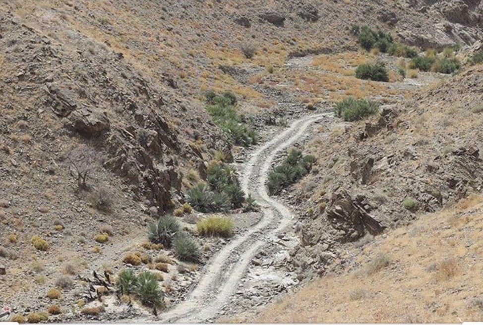 جاده های ریگان