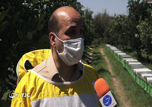 روح الله زاده تعاونی زنبورداران بابل