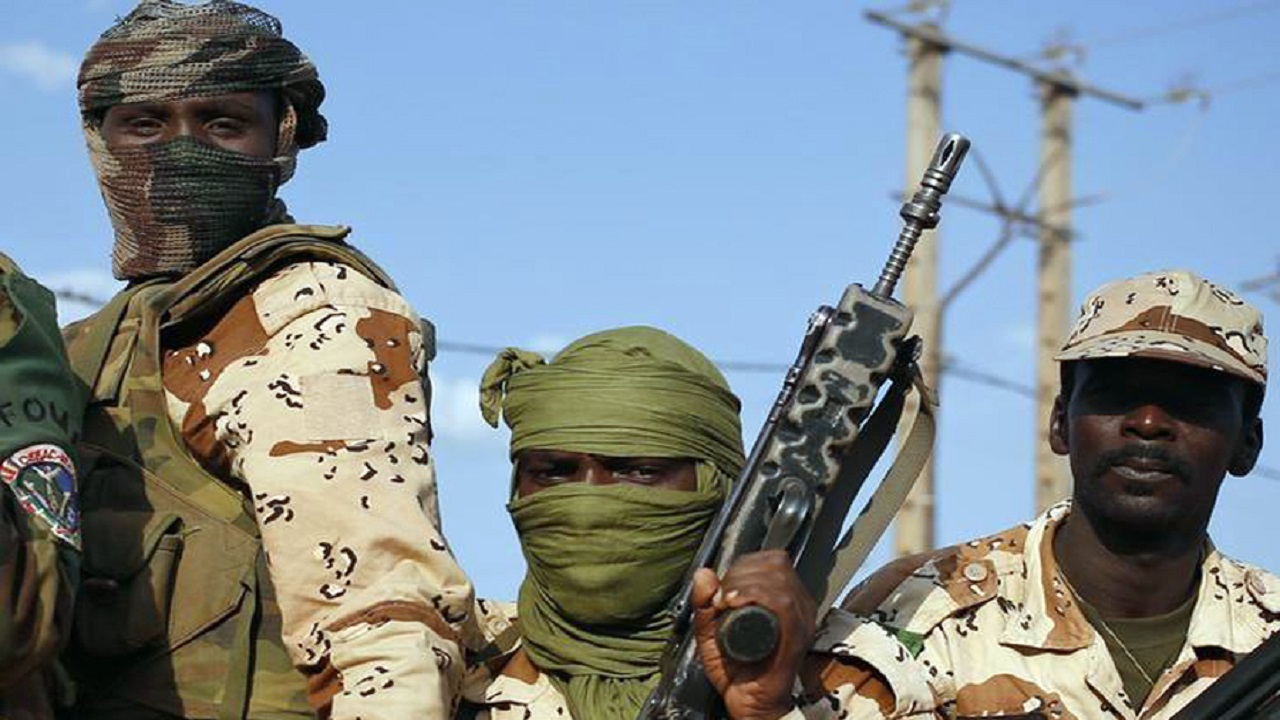 ربوده شدن یک آمریکایی در جنوب نیجر