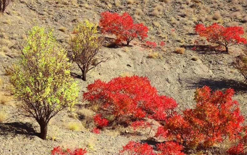 جاذبه های گردشگری