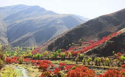 سفر به 
