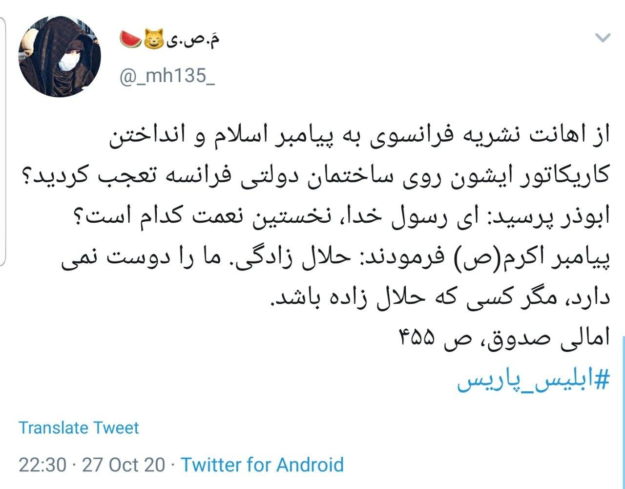 جهان اسلام در انتظار عذرخواهی مکرون خبیث میماند