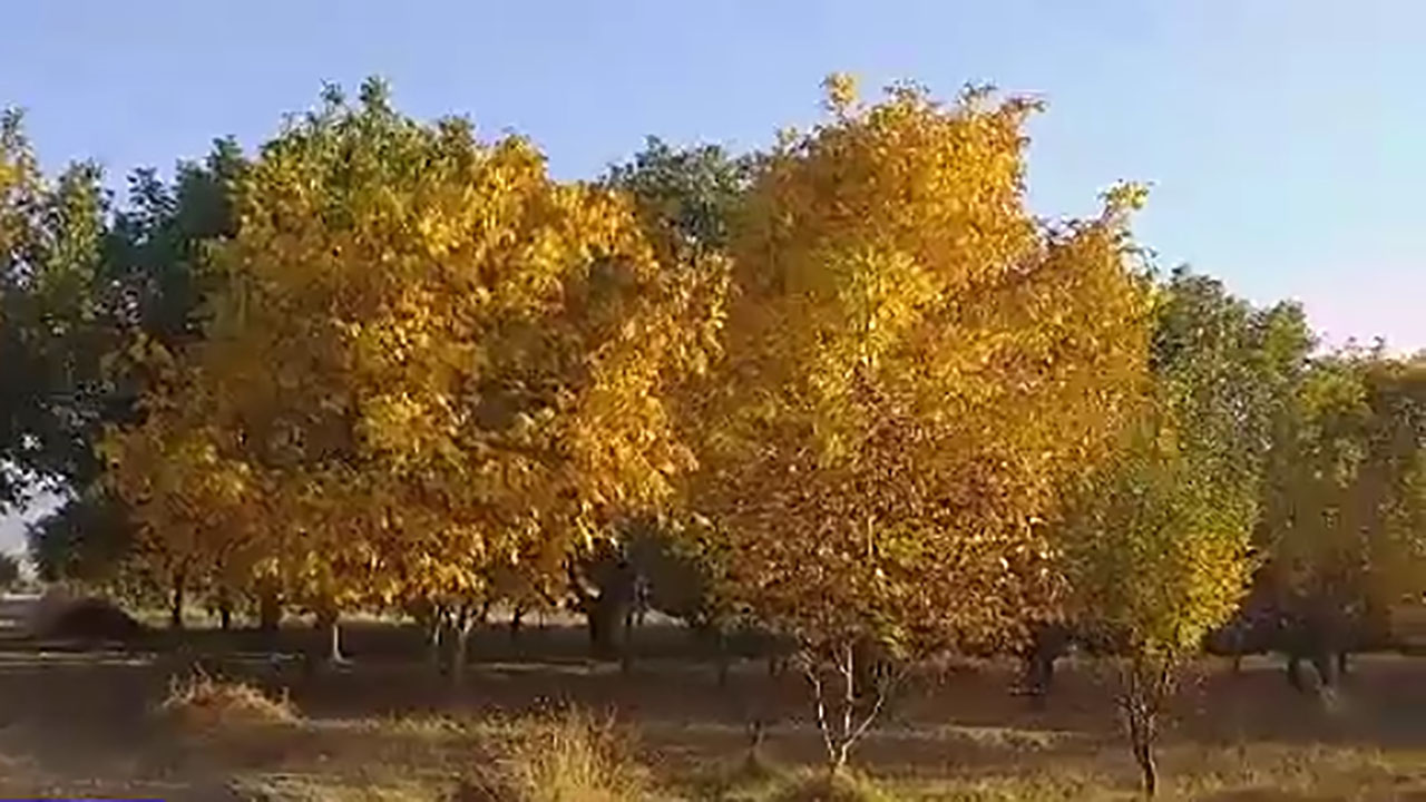 چشم‌اندازی از طبیعت پاییزی در روستای تکه + فیلم