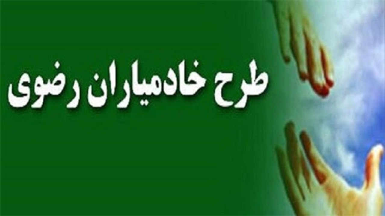 اجرای طرح صلح یاری خادمیاران رضوی در خراسان جنوبی