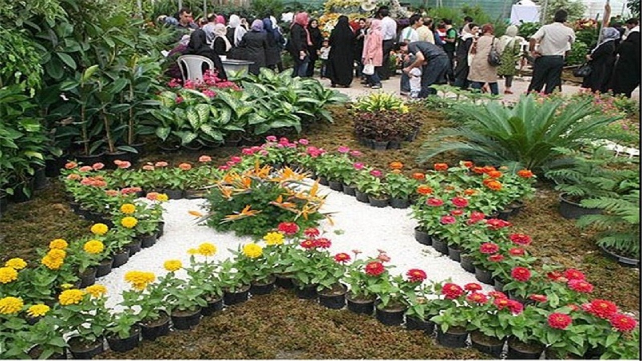 کاشت ۵ هزار جعبه از انواع گل های تولیدی در سطح شهر سمنان