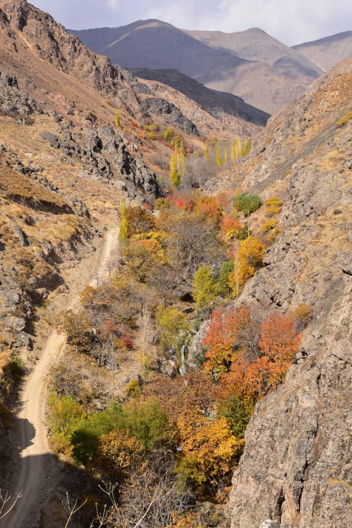 درود، نگین درخشان بینالود 