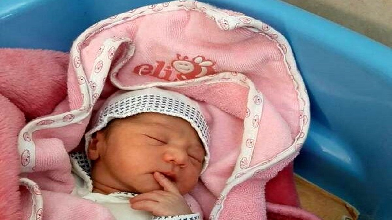تولد نوزاد عجول گرمساری در منزل