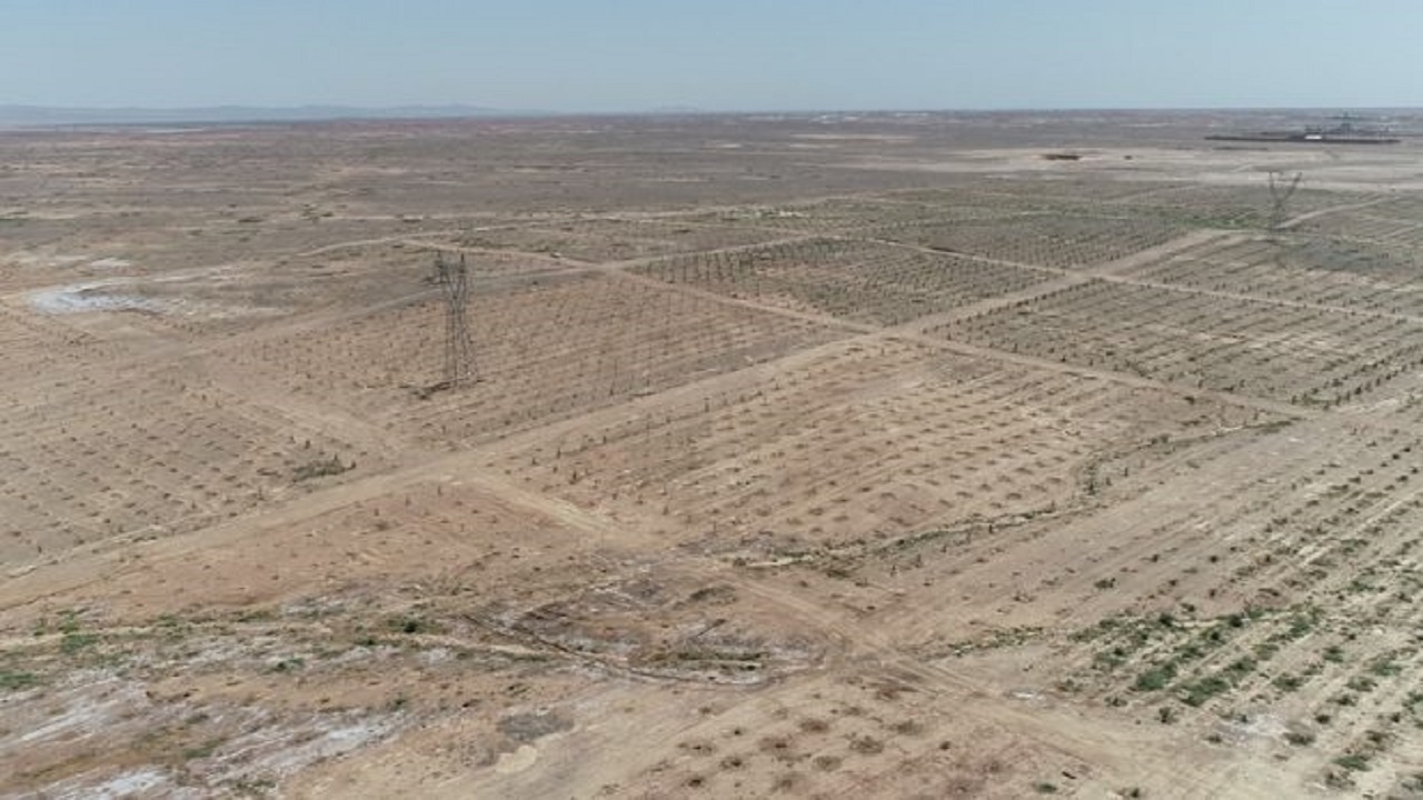 مشکل مسیر دسترسی به بوستان ولایت قم برطرف می‌شود