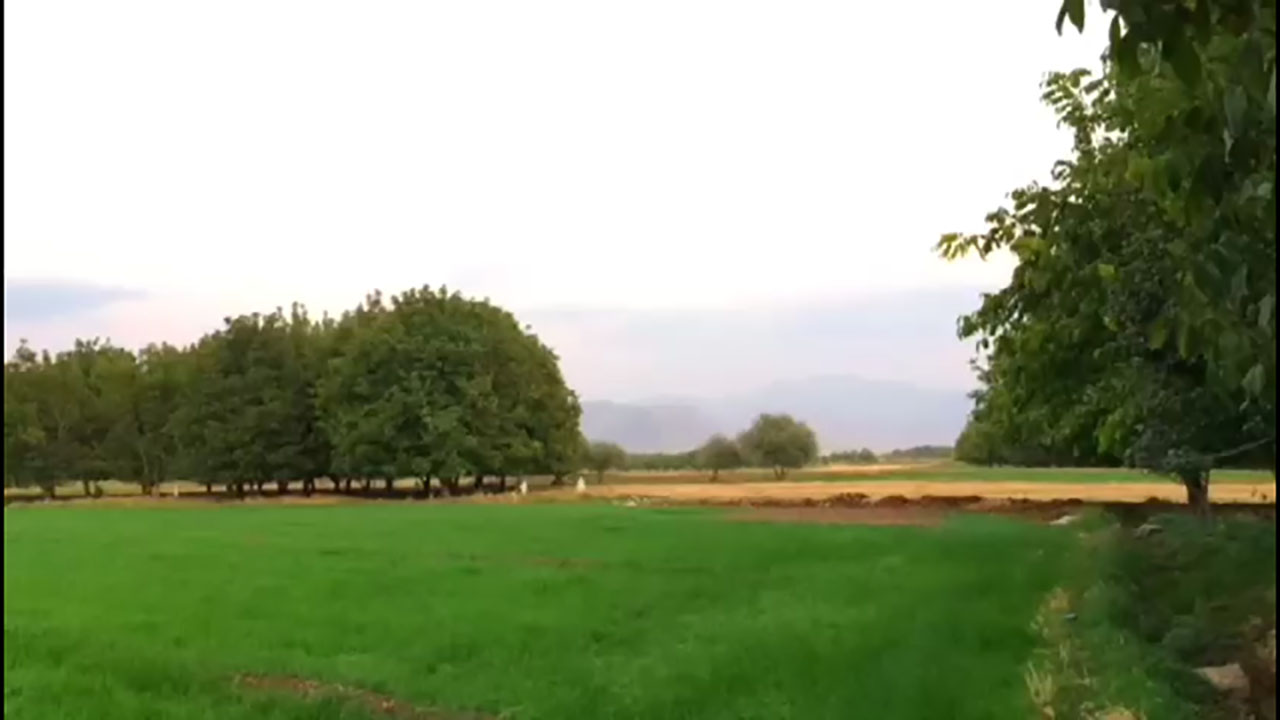 فیلمی از طبیعت جذاب و بکر در روستای دهرحم