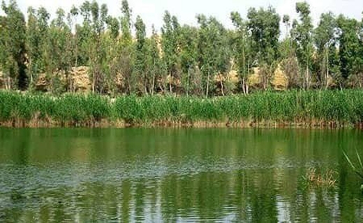 کوه خواران دیروز؛ تالاب خواران امروز/خشک کردن تالاب&zwnj;ها برای ویلا&zwnj;ها
