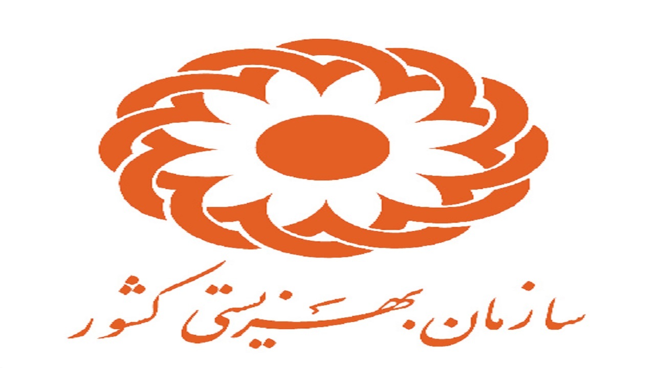 خانم های خانه دار بیشترین تماس را با بهزیستی داشتند