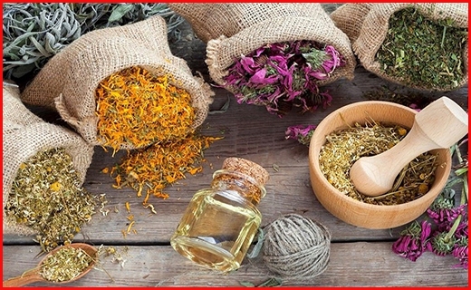 درمان کرونا با طب سنتی نوشداروی پس از مرگ