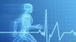 بهترین میوه در زمستان به است + فیلم