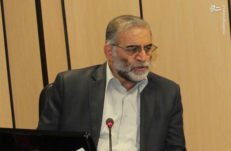 نگاهی به زوایای ناشناخته کارنامه پربار شهید محسن فخری زاده/دانشمندی پرافتخار، اما گمنام که اشبه&zwnj;الناس به شهید چمران و طهرانی مقدم بود