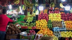 گلستانی در دل کویر + فیلم
