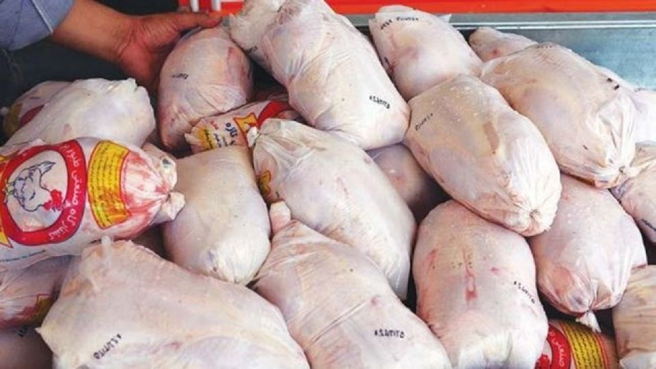 مرغ با قیمت ۲۰ هزار و ۴۰۰ تومان از امروز در اردبیل توزیع می‌شود