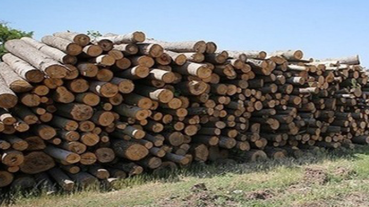 دستگیری قاچاقچی حرفه‌ای زغال در منطقه سرناباد سپیدان