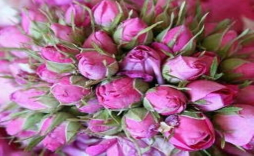 کفه برابر درآمدزایی از &laquo;طلای سبز و سیاه&raquo;