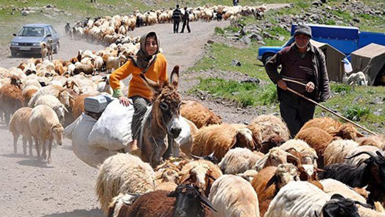 خسارت باران به یک هزار کیلومتر از راه‌های عشایری فارس