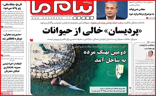 پیام ما