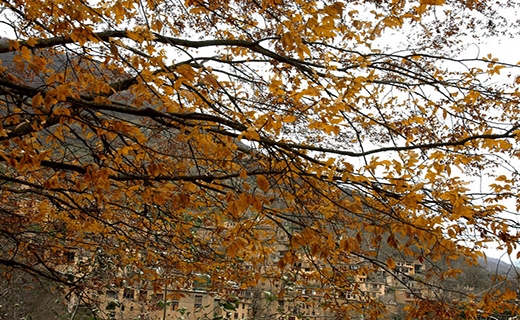 ماسوله همچنان در تب و سوز جهانی شدن