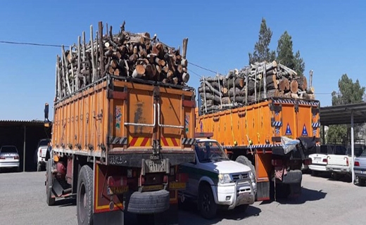 تراژدی مرگ جنگل&zwnj;های زاگرس در کردستان/ &laquo;قاچاقچیان چوب&raquo; تیشه به ریشه درختان می&zwnj;زنند