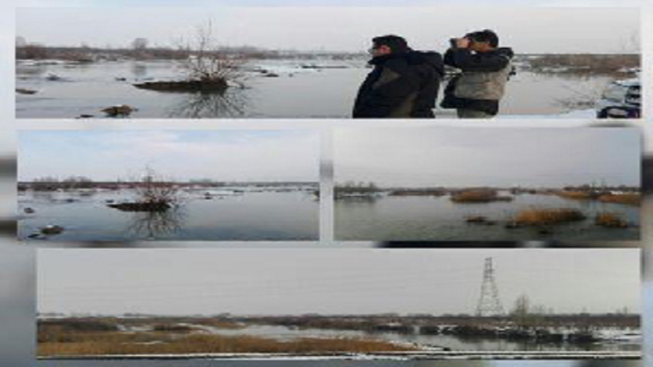 پایش زیستگاه‌های میاندوآب برای بررسی بیماری آنفلوانزای فوق حاد پرندگان