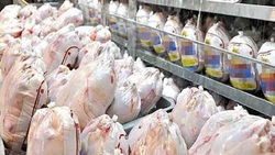 تولید ۲۹ هزار تن گوشت مرغ