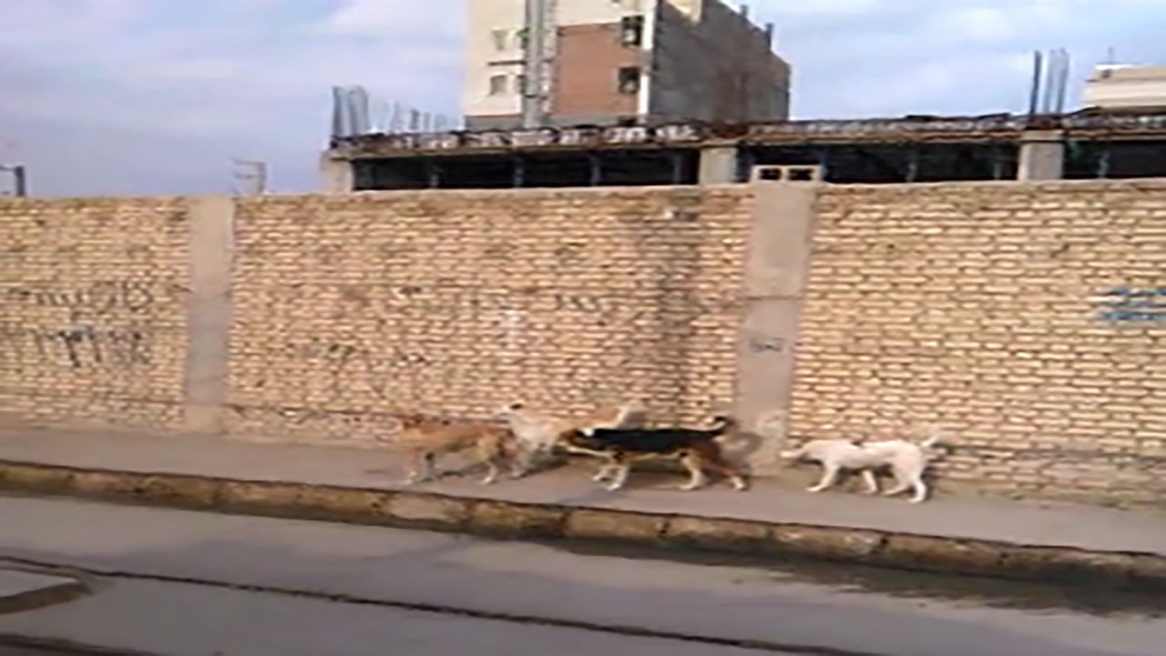 از