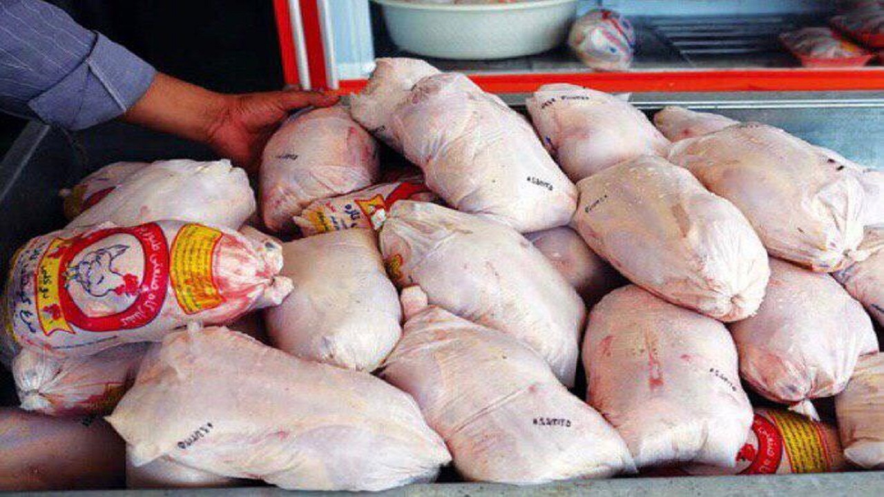 قیمت مرغ در سیستان و بلوچستان سیر نزولی گرفت