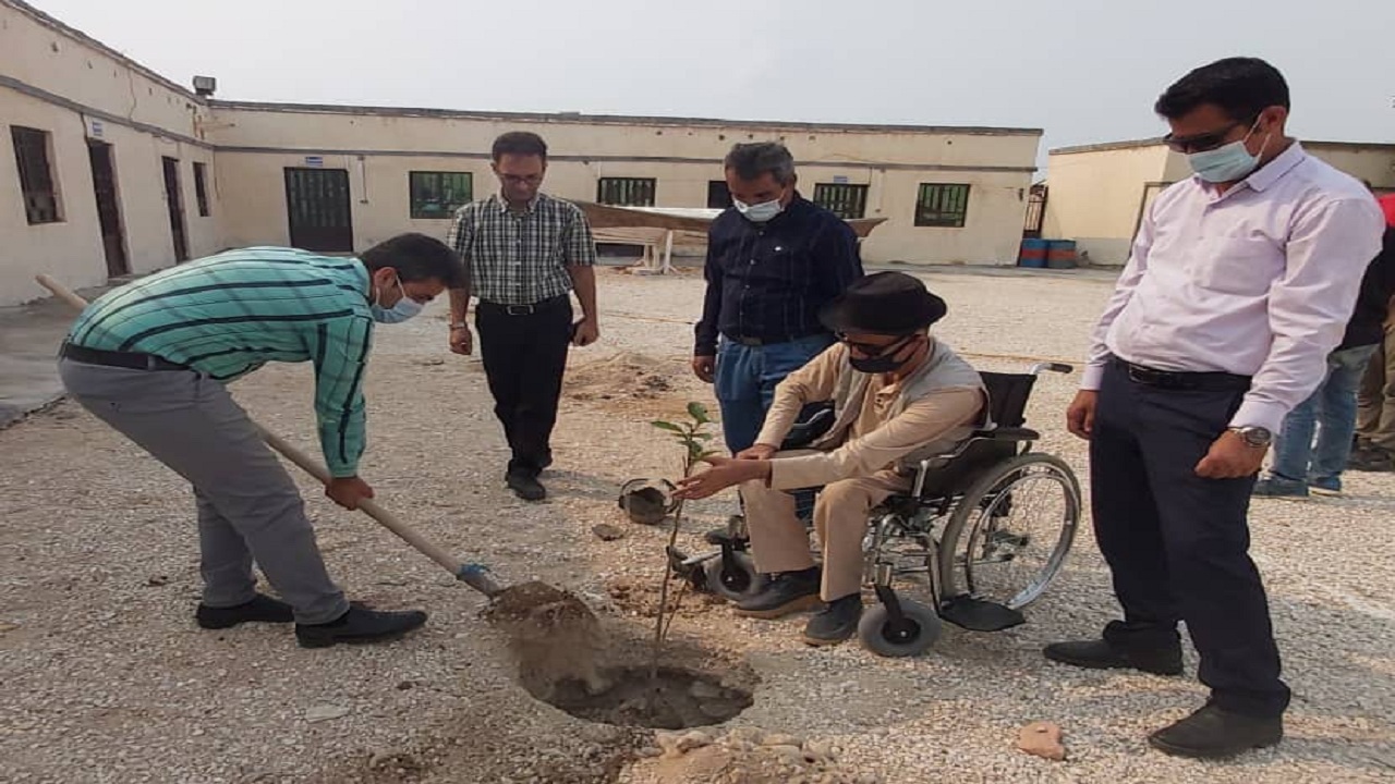 درختکاری به مناسبت روزجهانی معلولین در سیراف