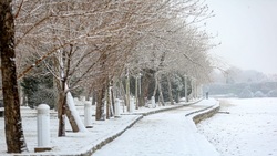 پیش بینی بارش برف
