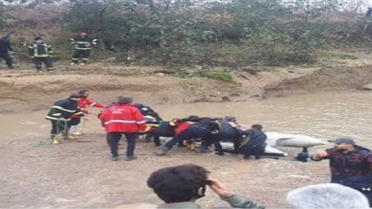 کشف جسد غریق ۳۱ ساله در بابل رود