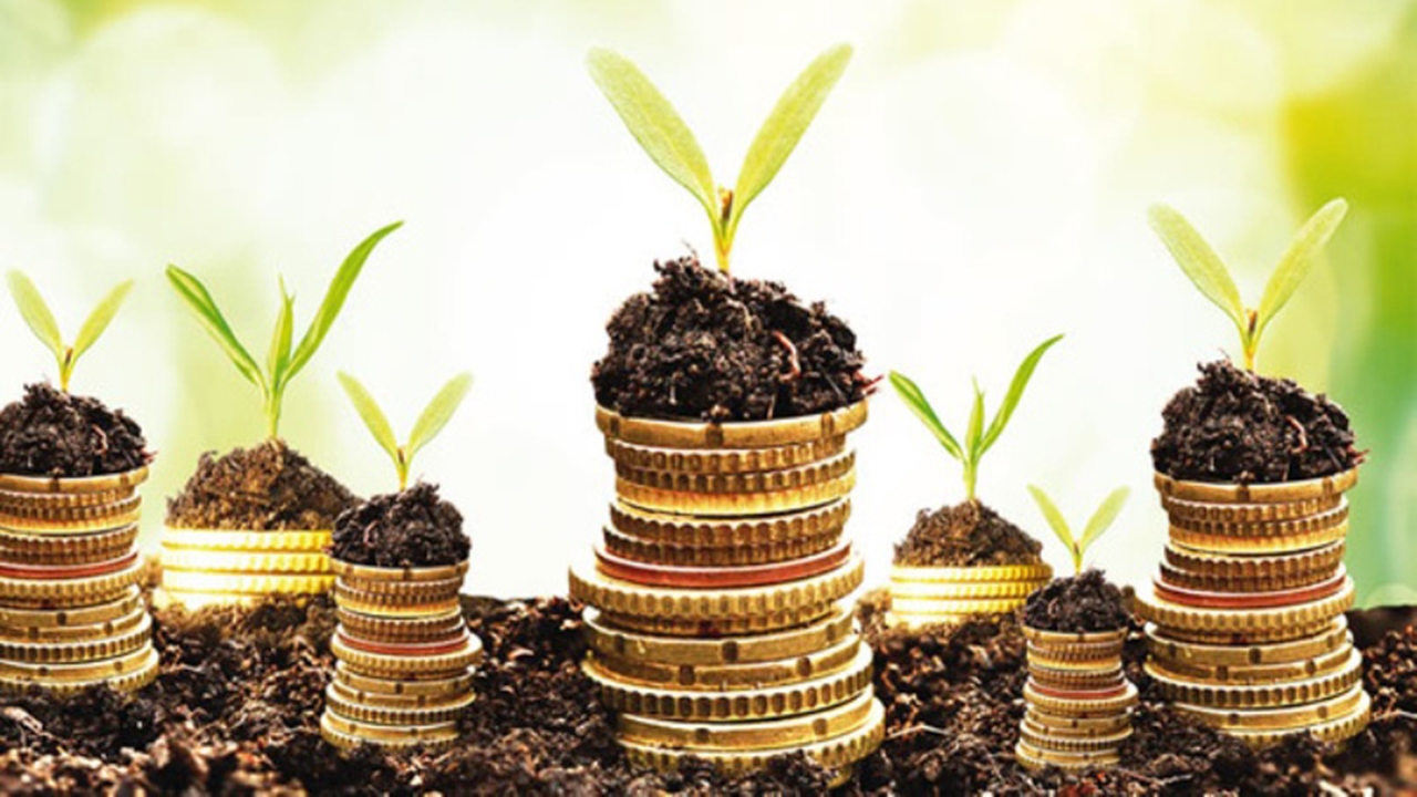 تخصیص ۱۹۹ هزار میلیون ریال تسهیلات به کشاورزان مرودشتی